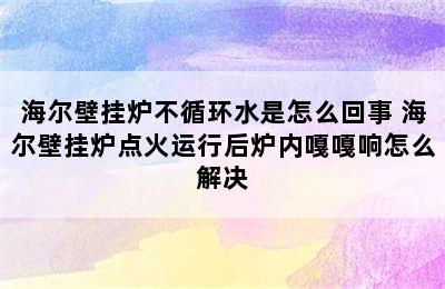 海尔壁挂炉不循环水是怎么回事 海尔壁挂炉点火运行后炉内嘎嘎响怎么解决